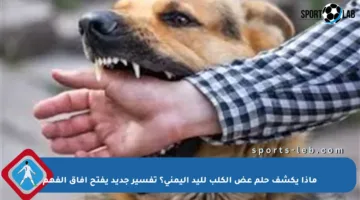 ماذا يكشف حلم عض الكلب لليد اليمنى؟ تفسير جديد يفتح آفاق الفهم